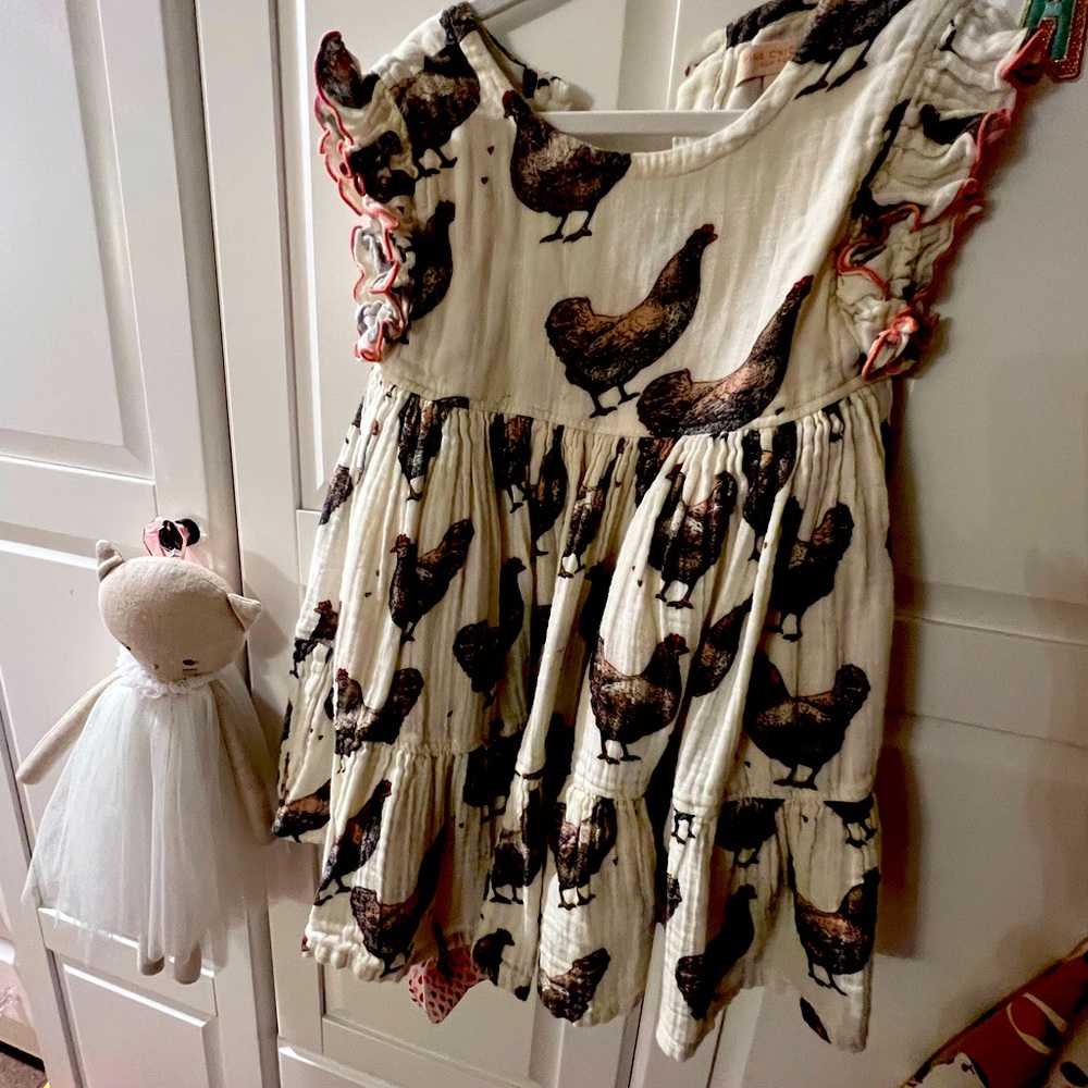 Brand pink chicken toddler dress. Size 4t